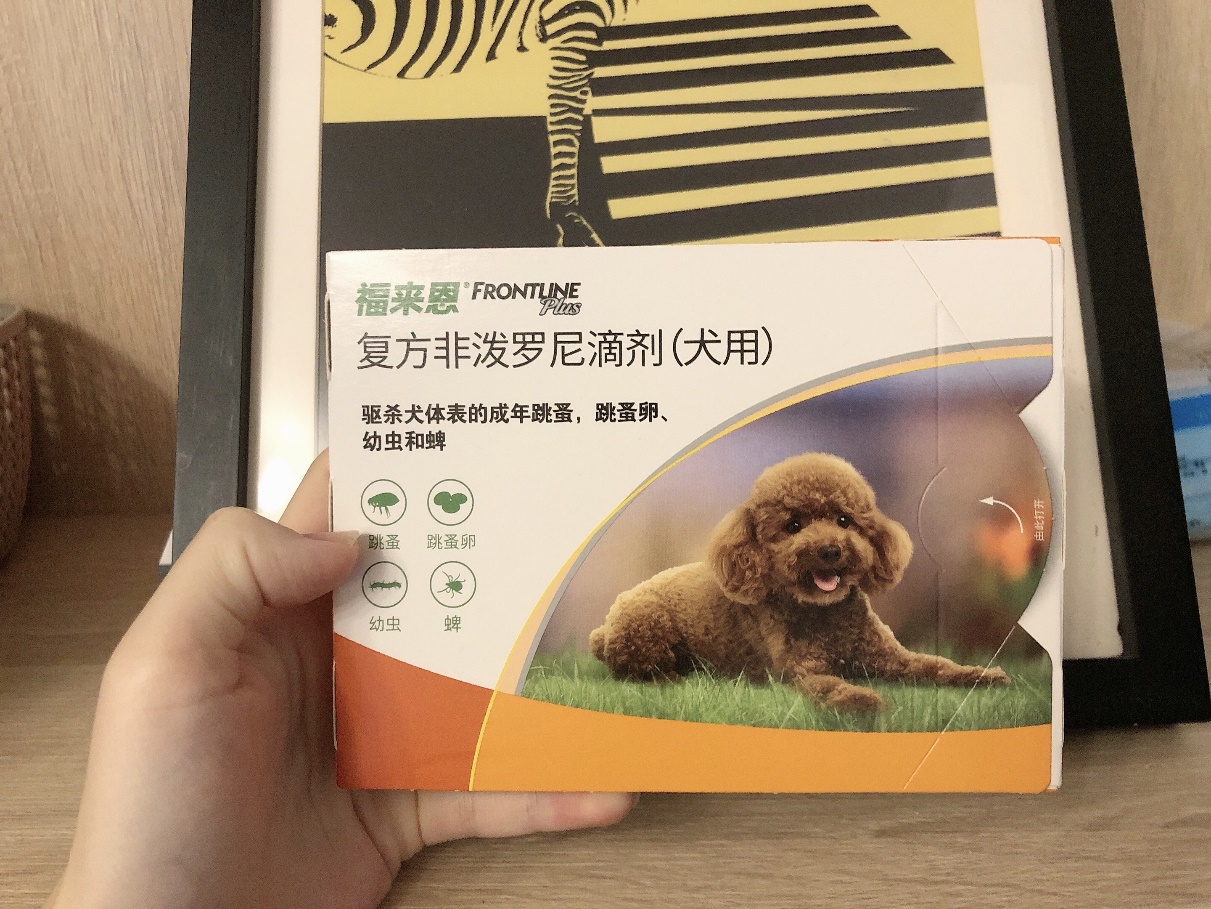 狗狗蜱虫怎么驱杀干净?选对驱虫药很关键 狗狗蜱虫怎么驱杀干净?选对驱虫药很关键