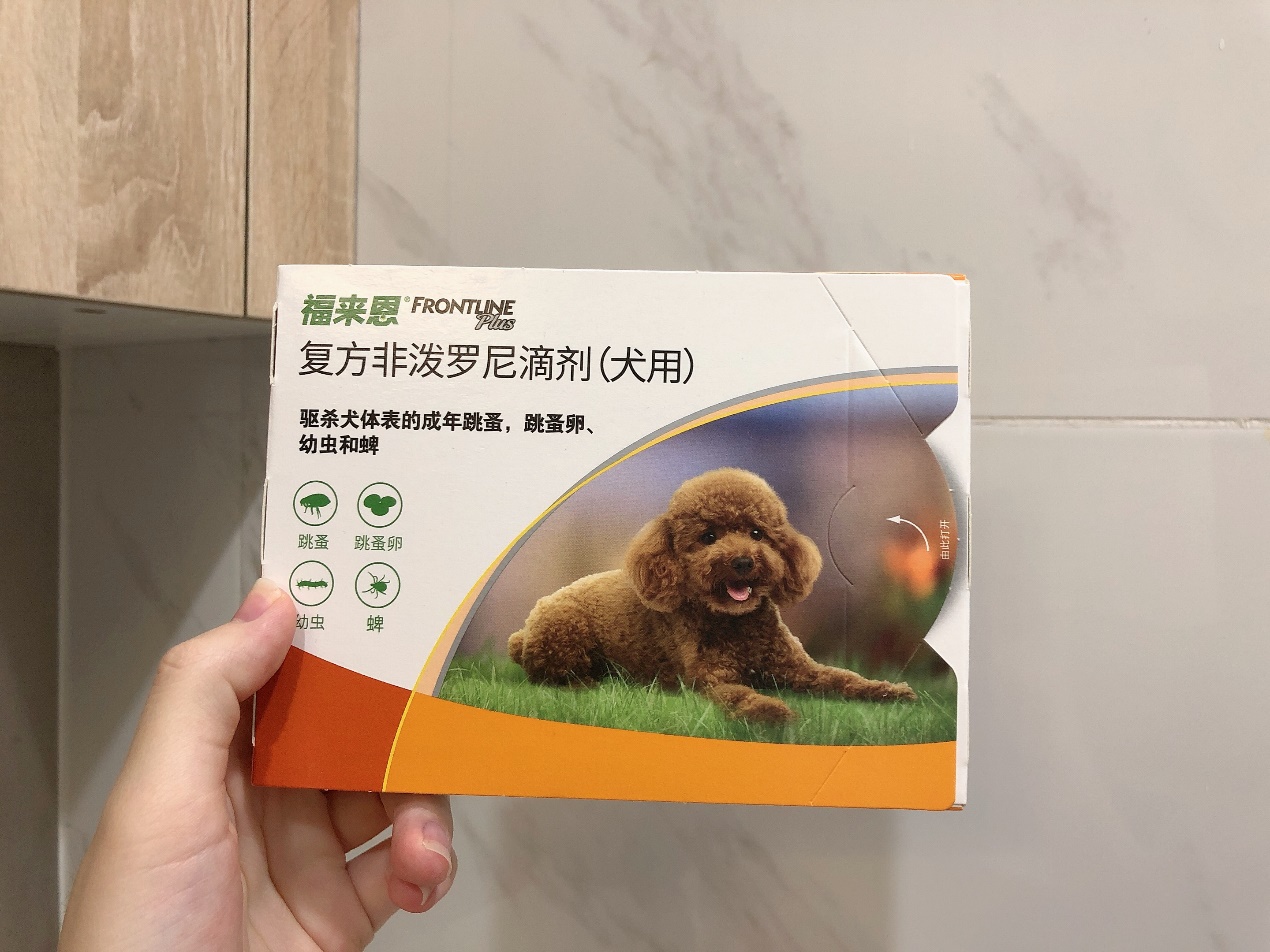 养狗需知：狗被蜱虫咬了怎么办
