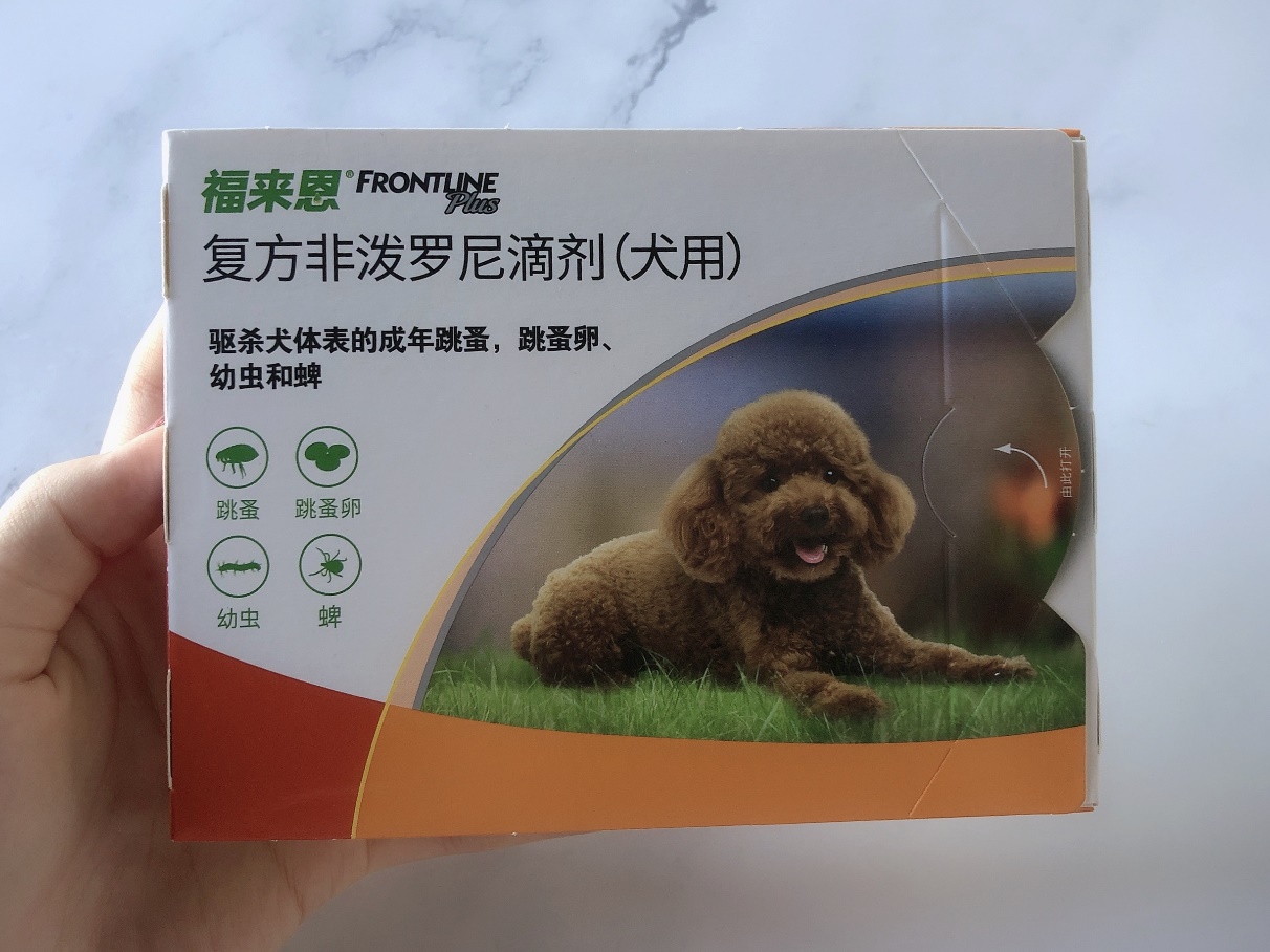 养宠小知识:狗狗身上有蜱虫怎么处理 养宠小知识:狗狗身上有蜱虫怎么处理