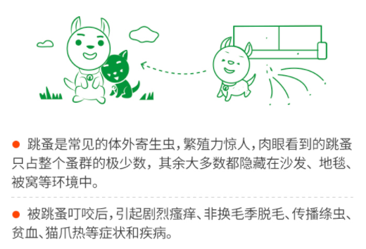狗妈测评：大宠爱和福来恩体外驱虫哪个好