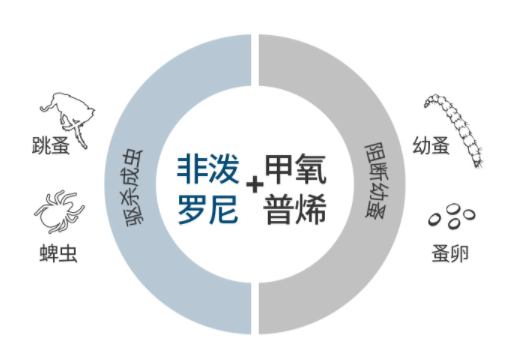 狗狗驱虫什么牌子好，我的首选福来恩