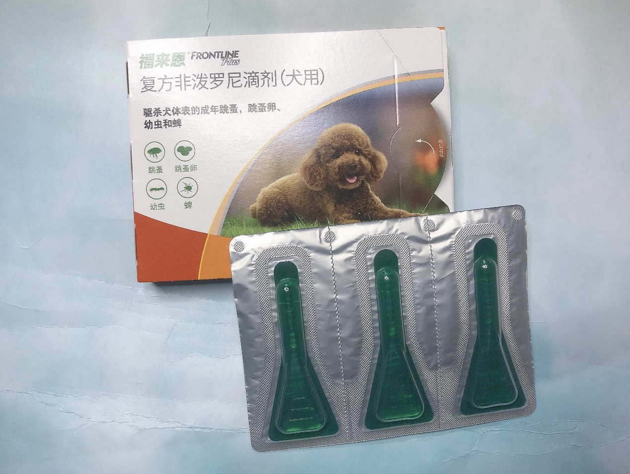 贝卫多VS福来恩,哪款驱虫药更适合狗狗? 贝卫多VS福来恩,哪款驱虫药更适合狗狗?