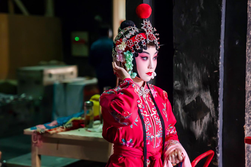 |这些“网红”,值得我们关注