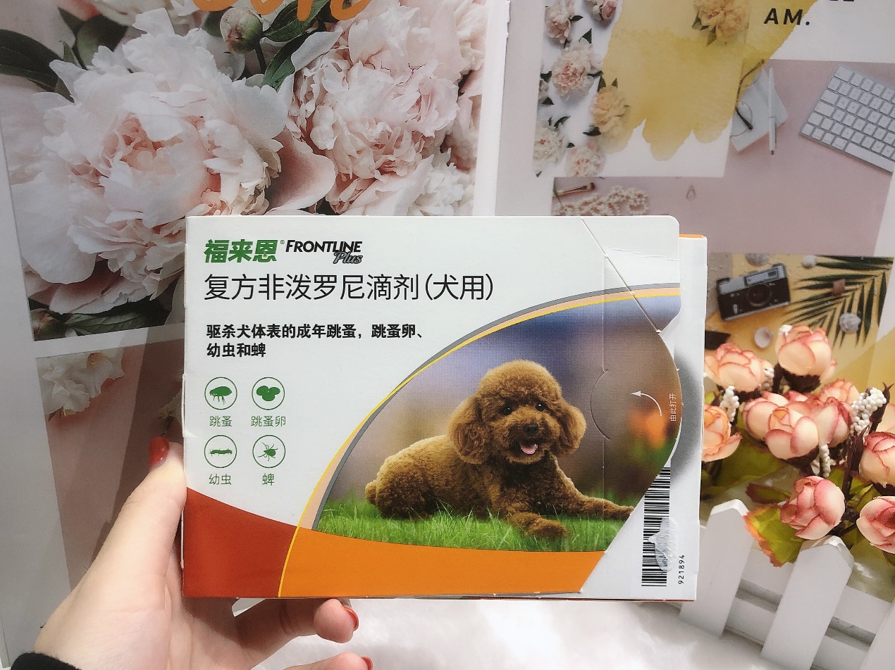 铲屎官养成记：福来恩和大宠爱哪个好？