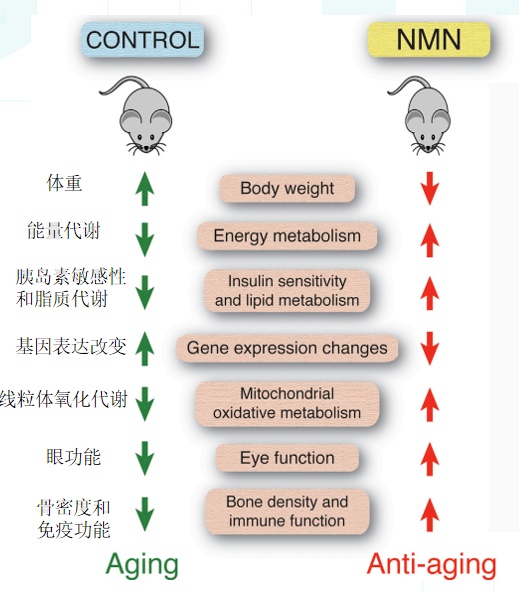 ΢�Ž�ͼ_20201013114337