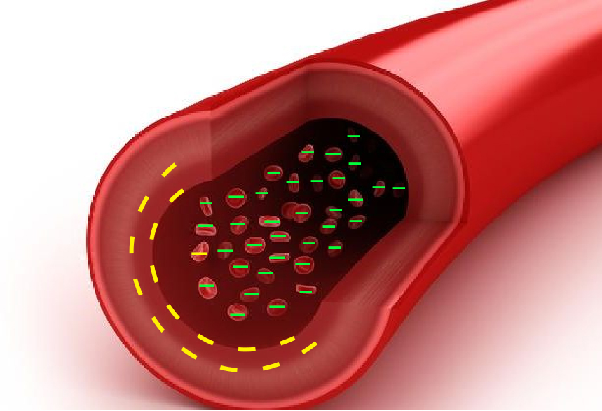 9AA6B21F00B789A31C8CDE25ACAC021B