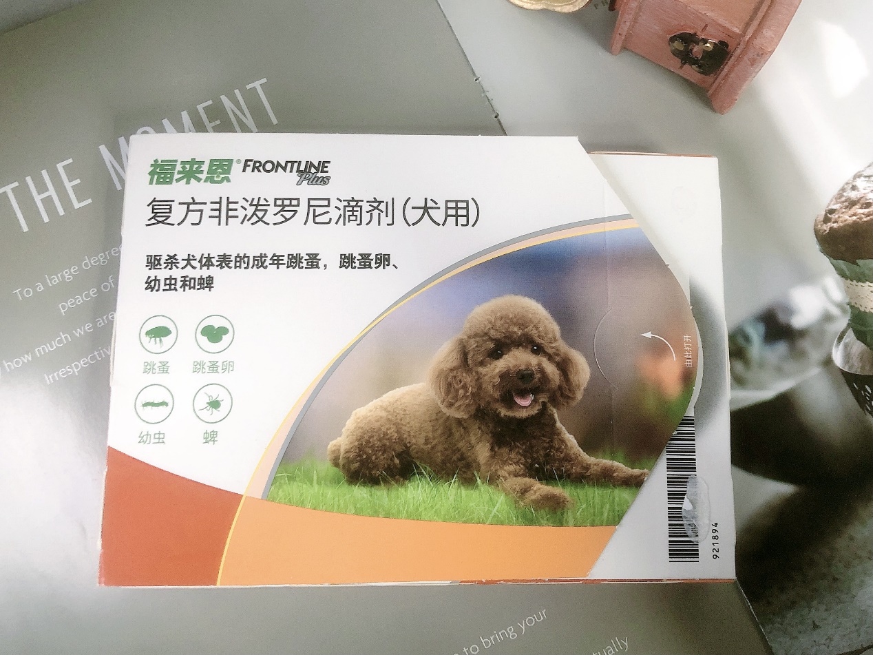 养狗人看过来！贝卫多和福来恩谁更胜一筹
