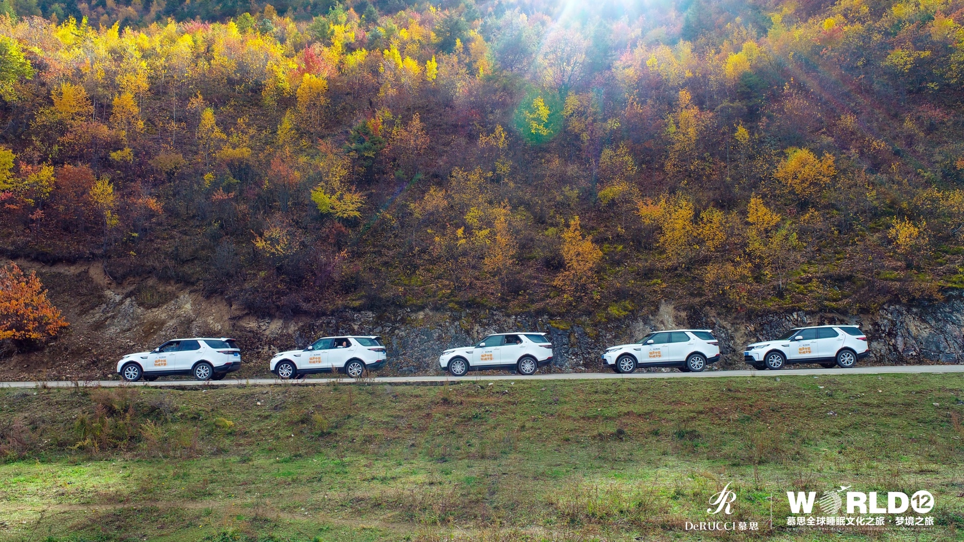 草地上的风景

描述已自动生成