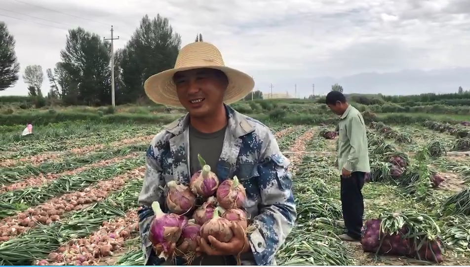 图片包含 户外, 草, 人, 男人 描述已自动生成