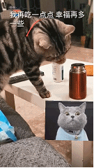 http://img.danews.cc/upload/images/20210112/80bc52db34d77aceecaeda563ea15fc1.png