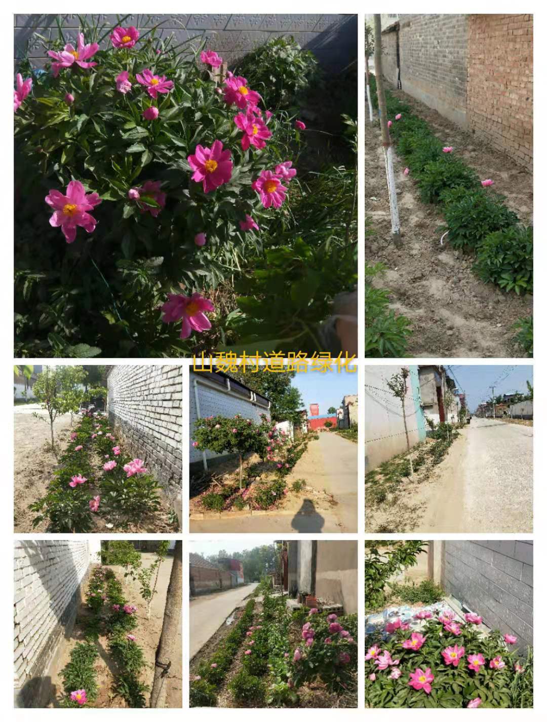 ΢��ͼƬ_20210113143421