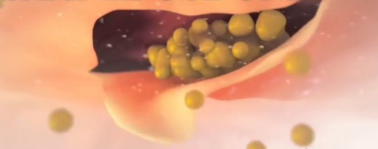 388a336042eefa68fd0c51fb7ef6f08