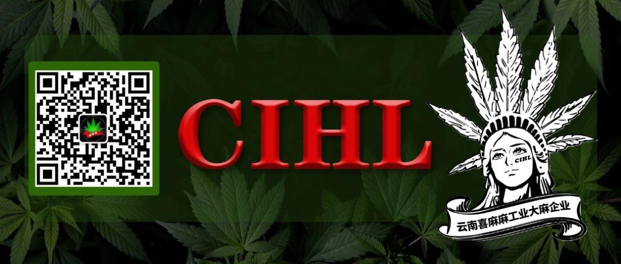 巴拿马