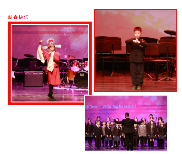 共享视听盛宴，杭州惠立学校喜迎牛年