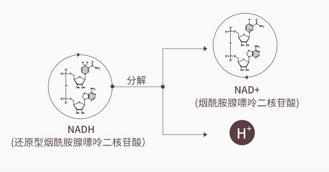 d6c9f1f2e1960d4694759288be2580c