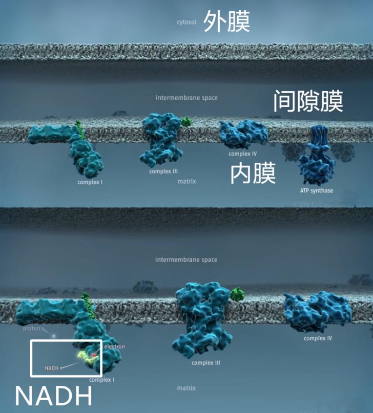 δ����_����