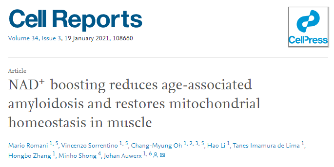 最新研究：NMN、NADH补充NAD+可减缓肌肉退化，恢复身体活力