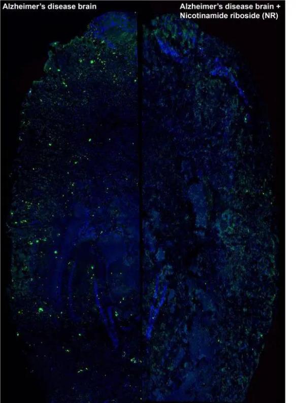 ΢��ͼƬ_20210420184120