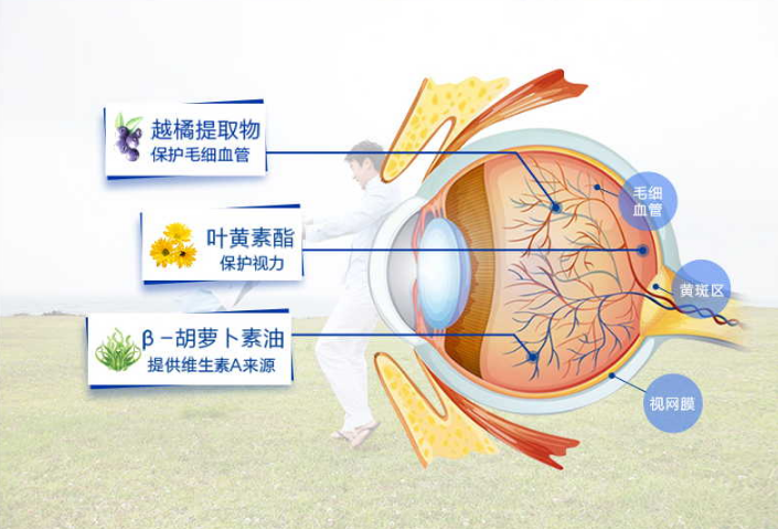 微信图片_202009011837262.png