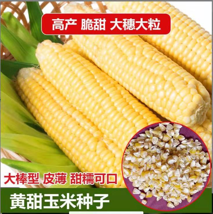 e169525b226ad44f1afd395b74e5a3d