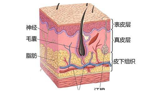 美憬医疗美容 MTS中胚层疗法 都昶皓院长