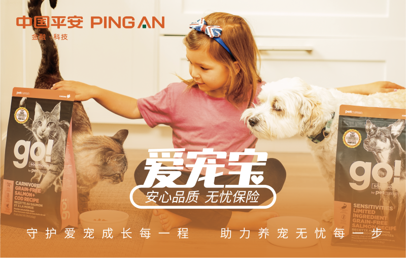 百加世618礼赠“爱宠宝” 赋能宠物保险行业发展 百加世618礼赠“爱宠宝” 赋能宠物保险行业发展