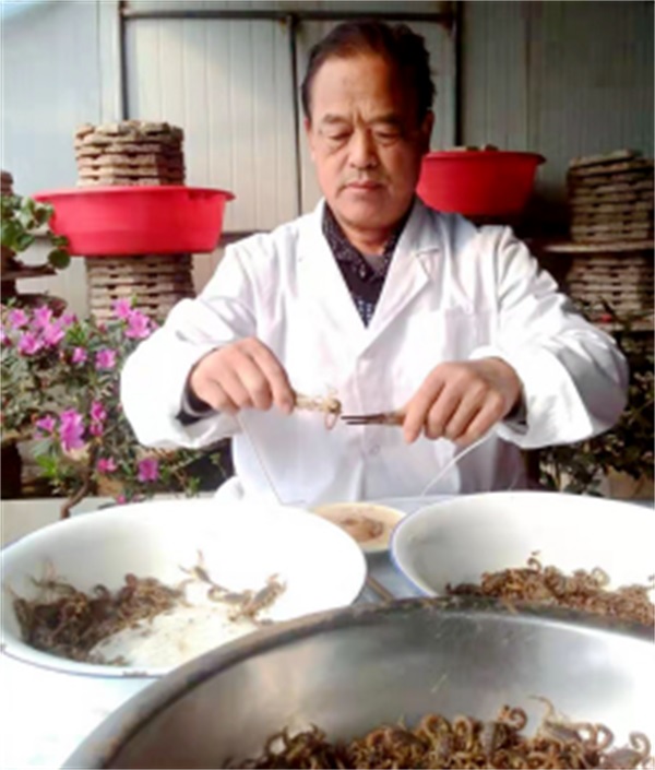 http://zyyhb.org.cn/uploads/allimg/201117/1-20111G355301M.JPG