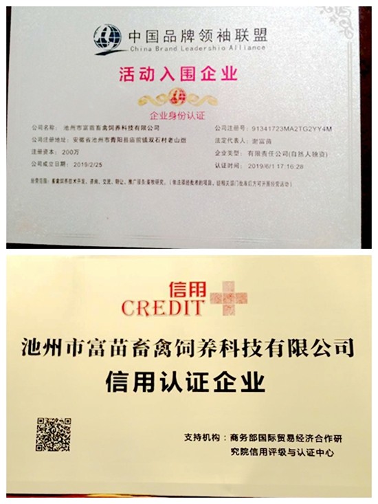 手机屏幕截图

描述已自动生成