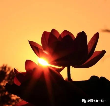 D:\Documents\WeChat Files\wxid_d3z933r5s3k022\FileStorage\Temp\c1d0e29dfe6312f8193d79ff8d6692cd.jpg