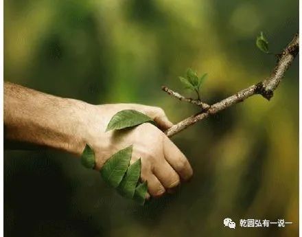 D:\Documents\WeChat Files\wxid_d3z933r5s3k022\FileStorage\Temp\61a58273f0c10aea22cb964a626bd3f0.jpg
