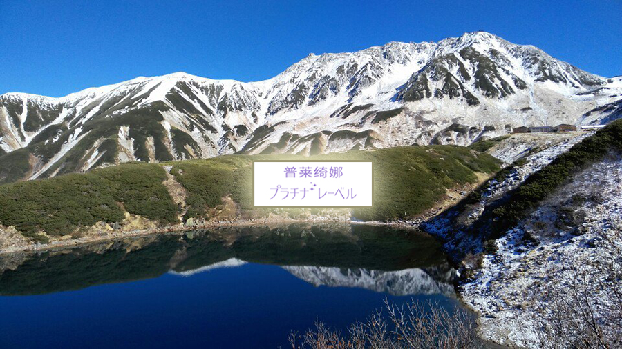 ctrip