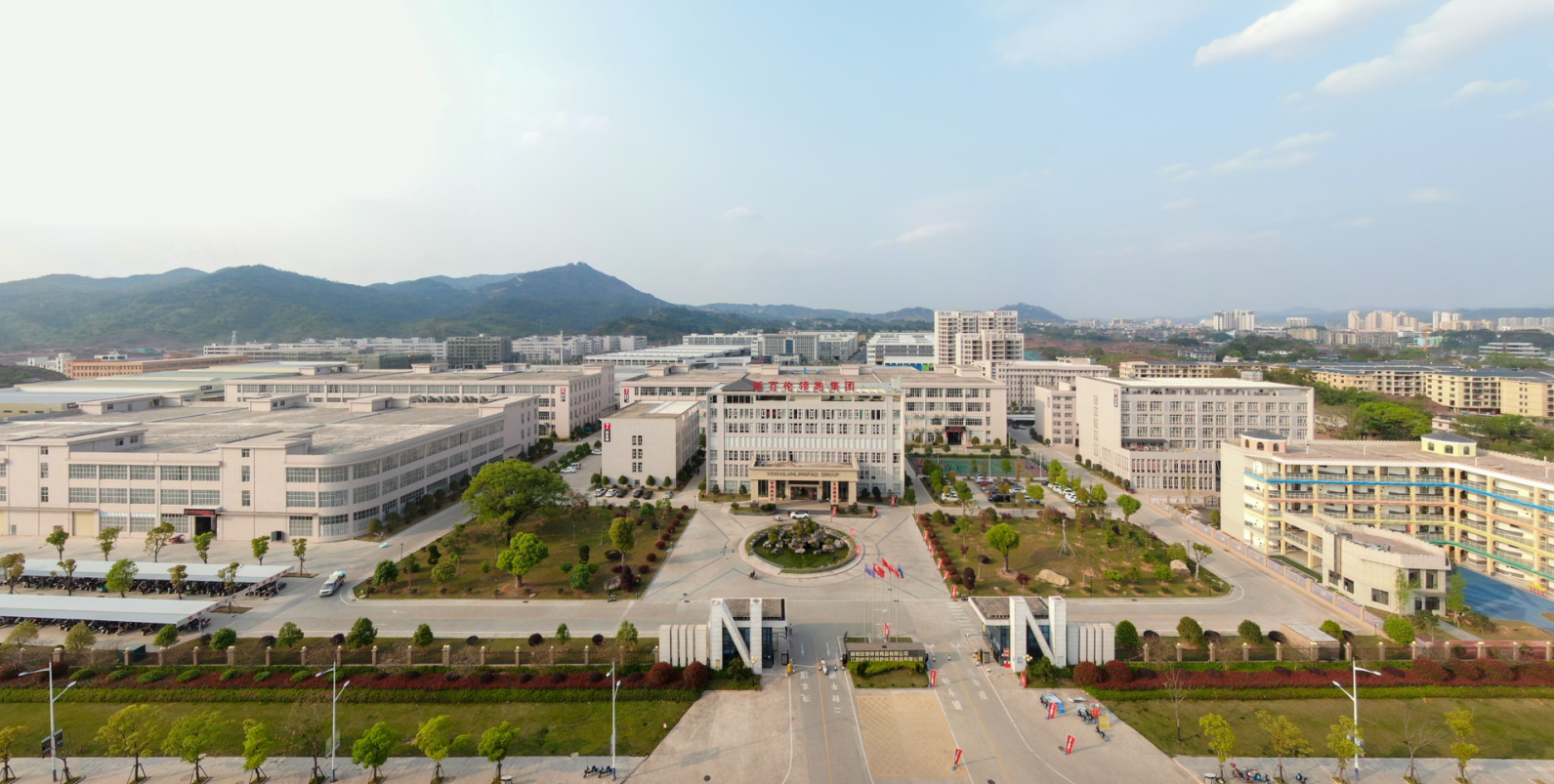 图片81
