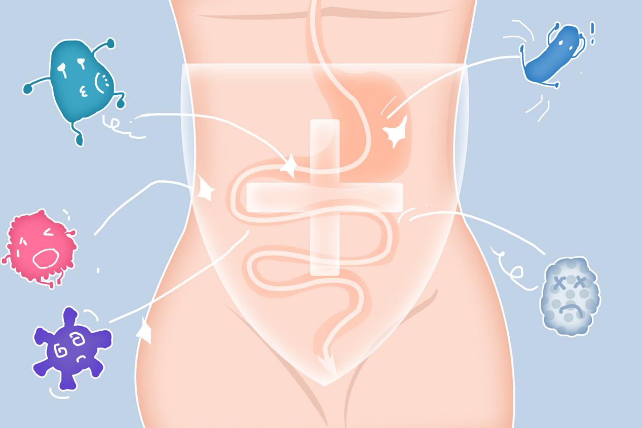 摄图网_401760875_banner_肠道健康赶走病菌(非企业商用)