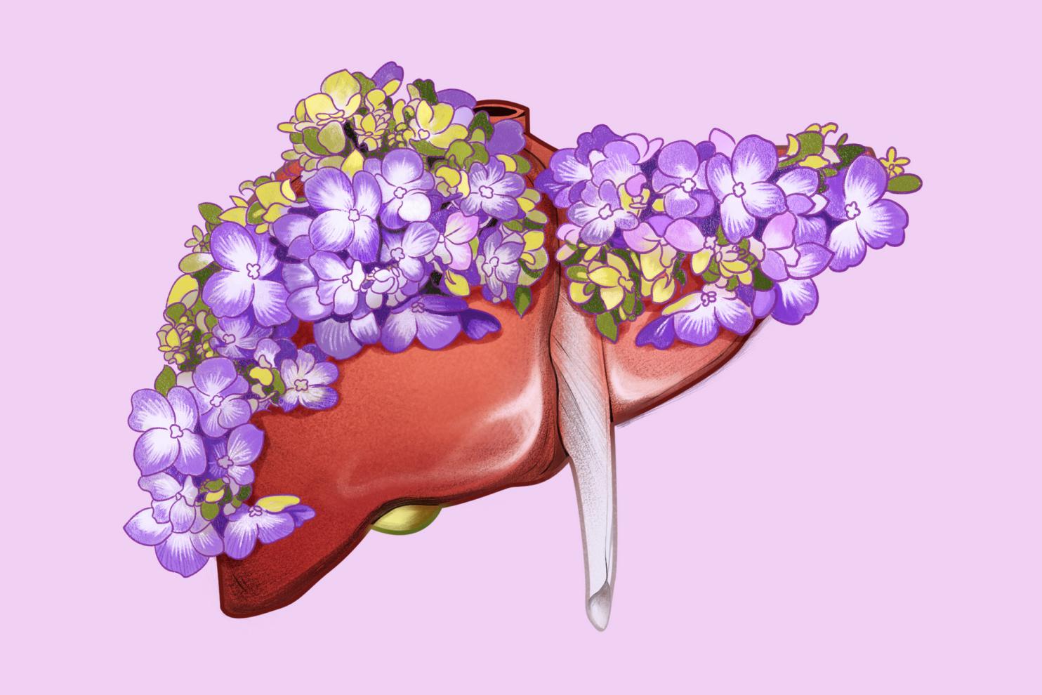摄图网_401906330_banner_器官花卉肝脏(非企业商用)
