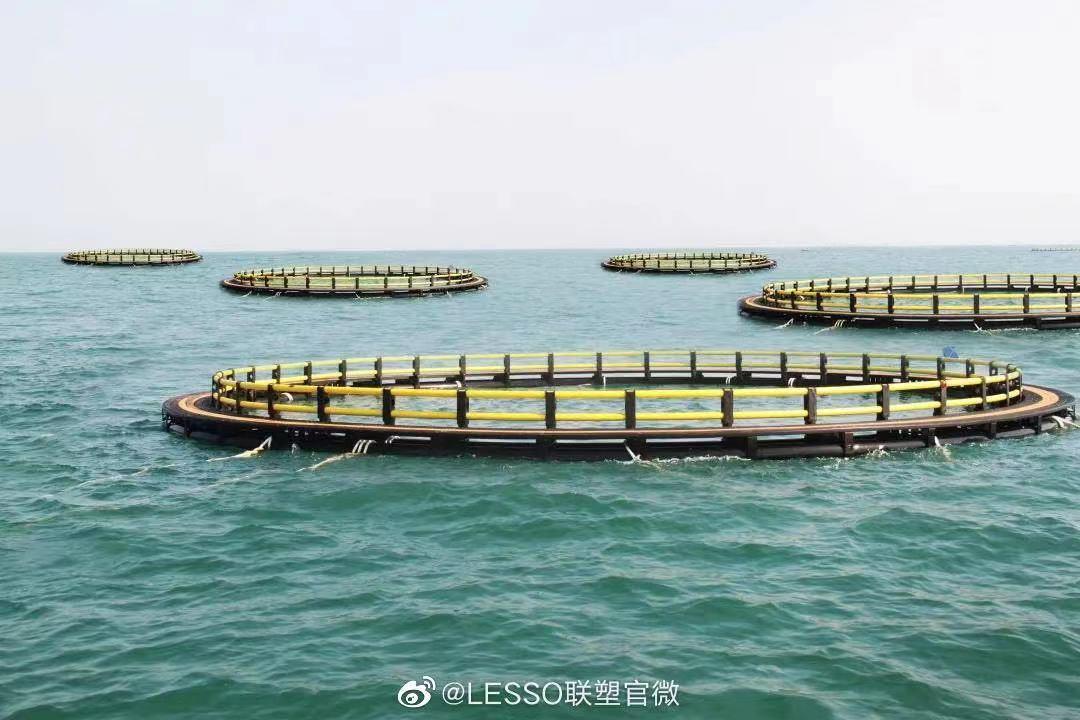 鼓起渔民的“钱袋子”,管道业龙头联塑是这样做的