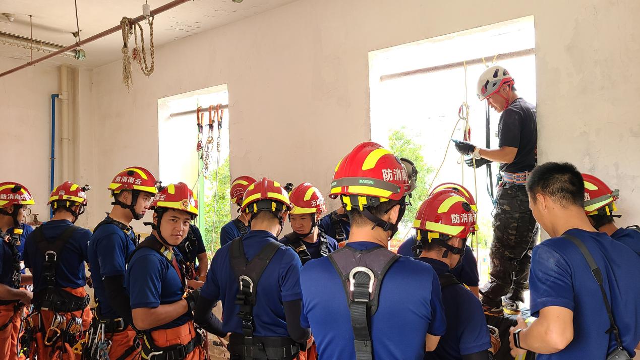 caf361f15d8ecdd4733a611a2fe5bbf