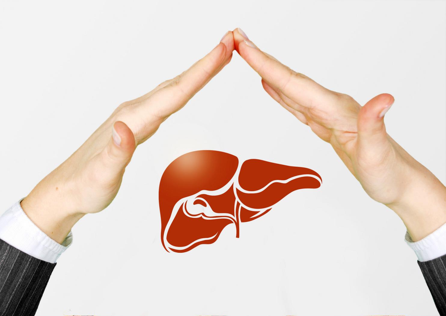 摄图网_500902852_banner_保护肝脏(非企业商用)