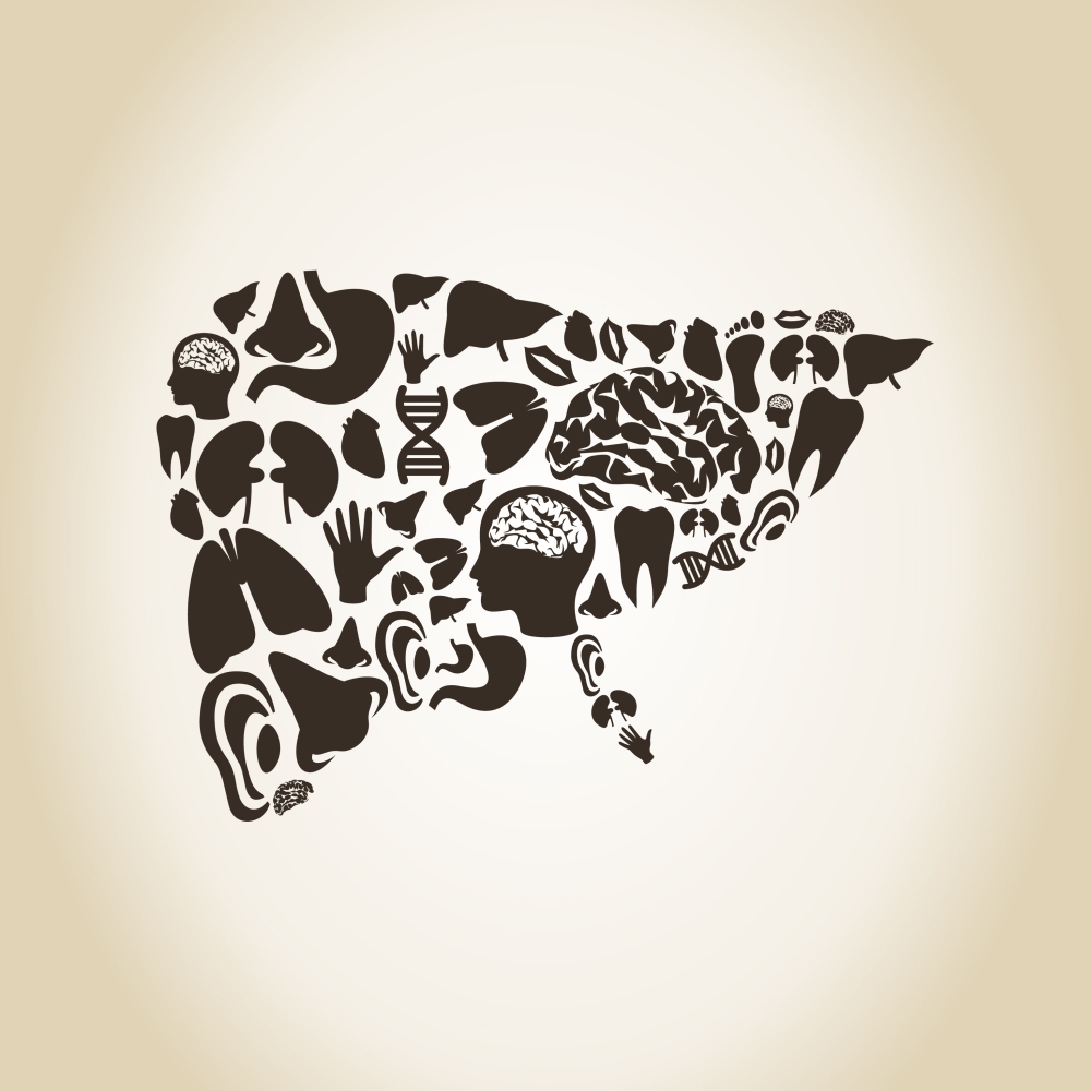 摄图网_300933412_banner_由身体部分成的肝脏矢量插图(非企业商用)