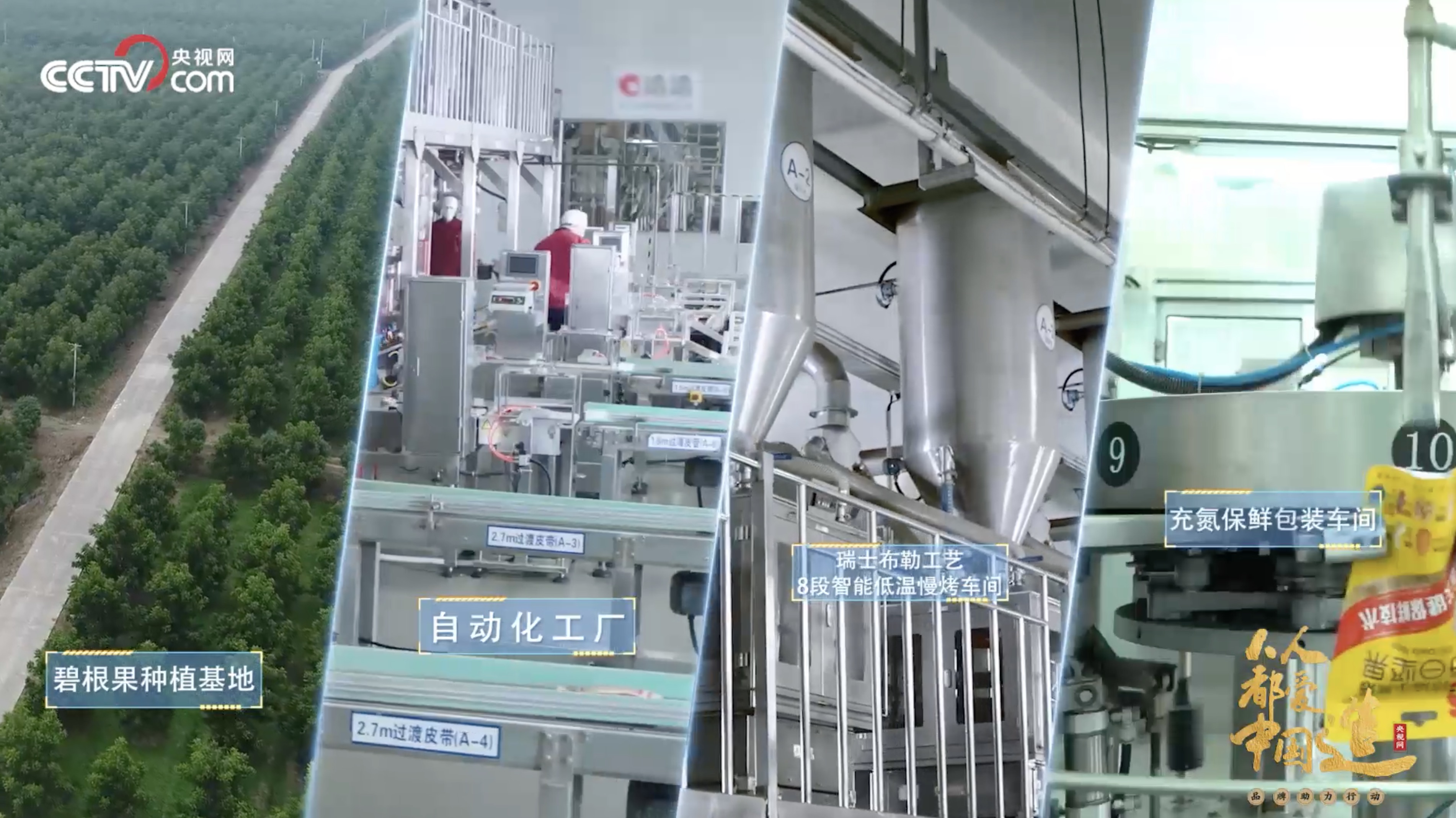央视直播顶级学霸探访洽洽透明工厂,解码坚果新鲜背后的技术创新 央视直播顶级学霸探访洽洽透明工厂,解码坚果新鲜背后的技术创新