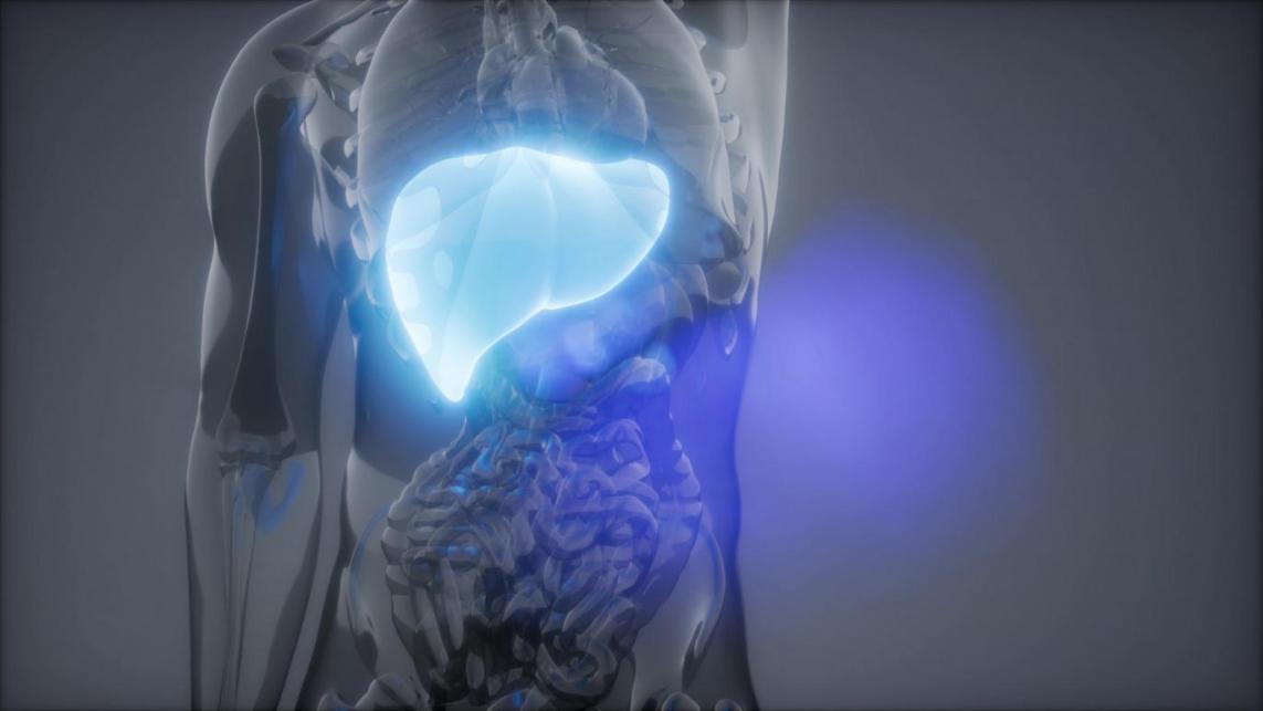 摄图网_300023640_banner_人类肝脏发光的科学解剖扫描人类肝脏放射学检查（非企业商用）