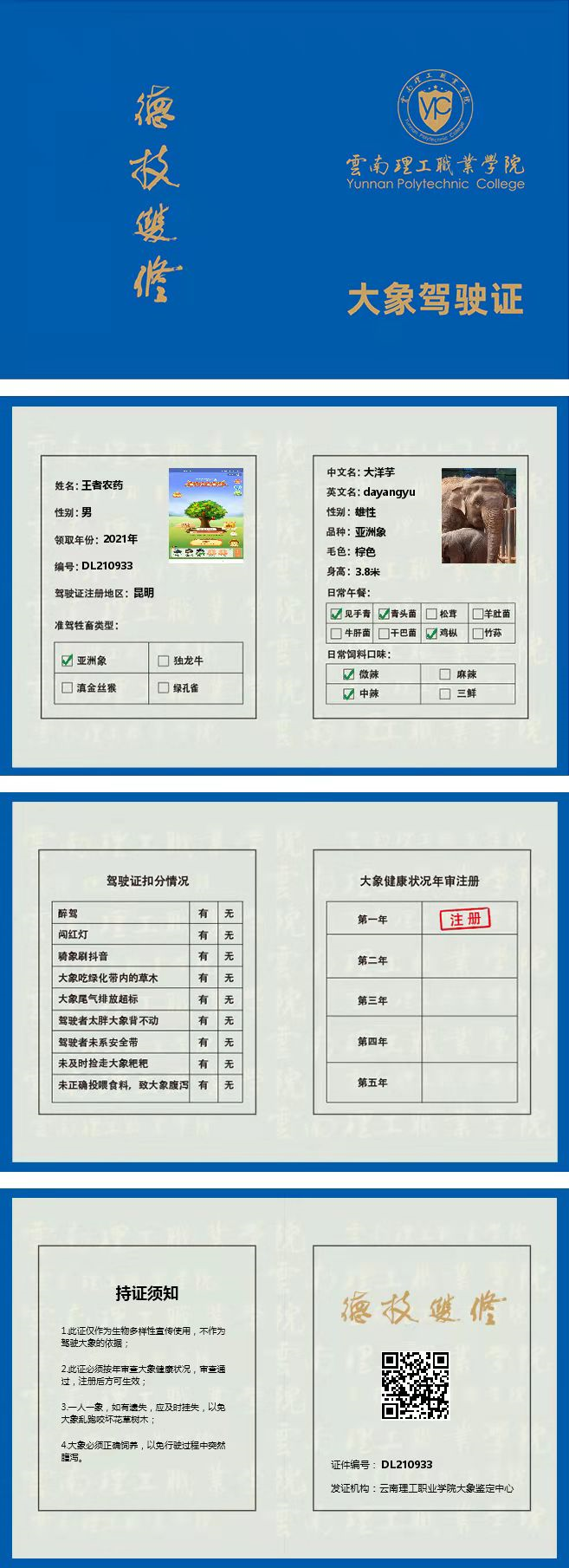 众盼已久的“大象驾驶证”终于开考！