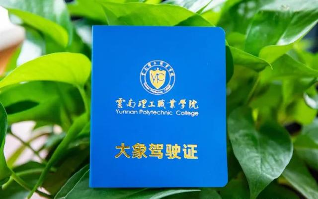 众盼已久的“大象驾驶证”终于开考！