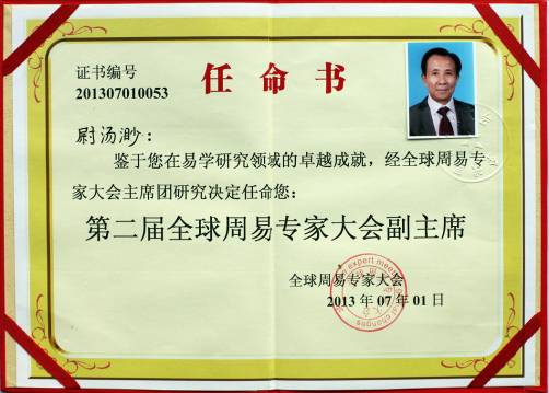 第二届全球周易专家大会副主席_9945ok_看图王