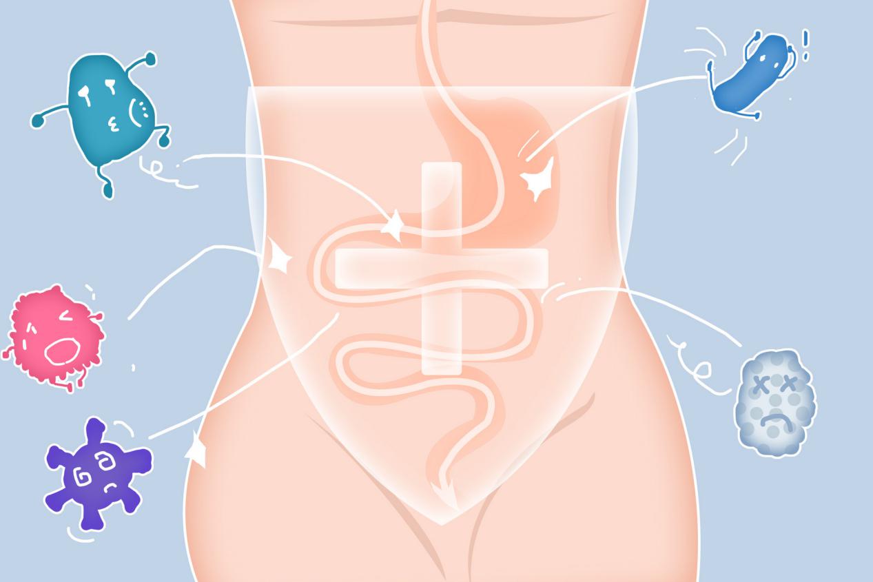 摄图网_401760875_banner_肠道健康赶走病菌(非企业商用) (1)
