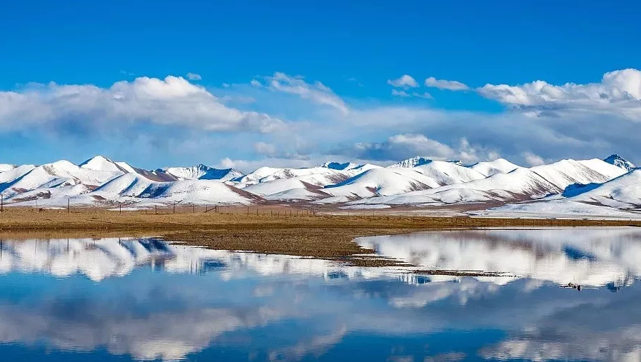 川藏旅游.手机整合行业招商运营资源的专业平台