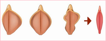 v2-f8ad44c2634a39b115eb6dfd3f0e4a05_400x224