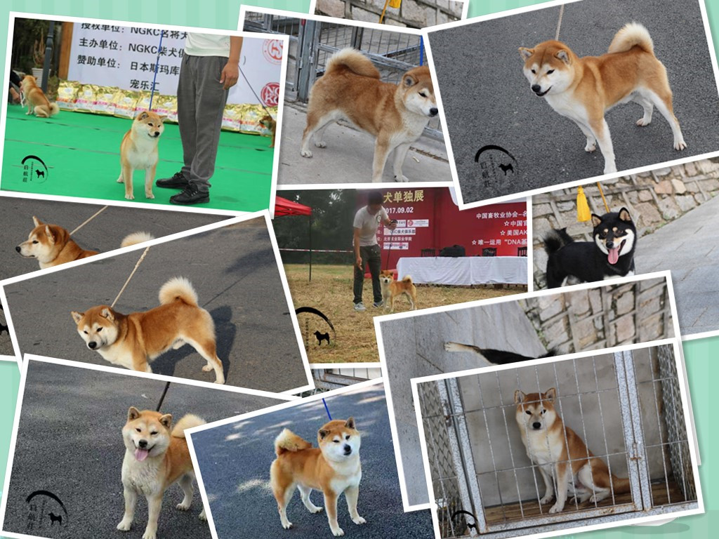 http://img.danews.cc/upload/images/20211117/23cb134a30ba250d1364a74a95886d62.jpg