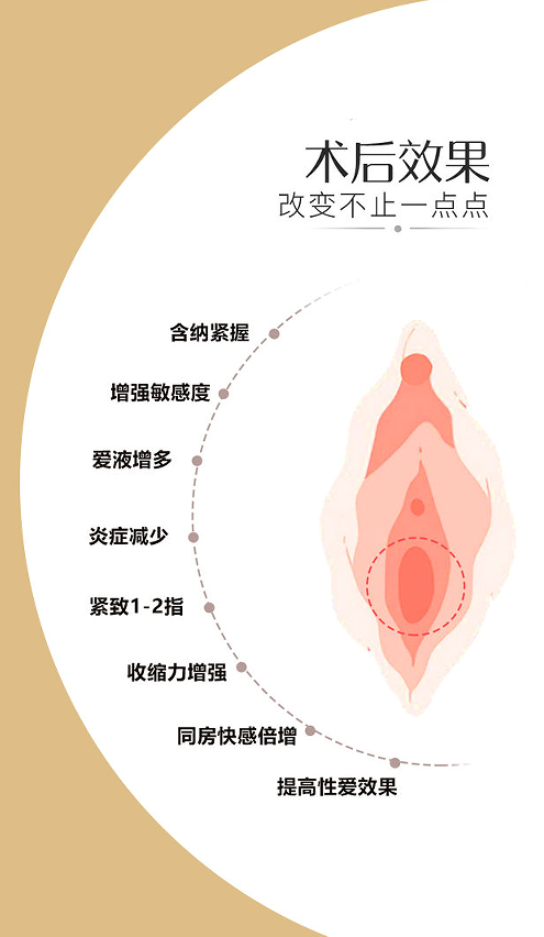 8e5221c3bf2276ee5480130a55f056b