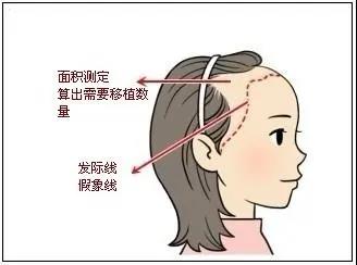 4dba8dc4d901cb1ead637e35adb5c170.jpg
