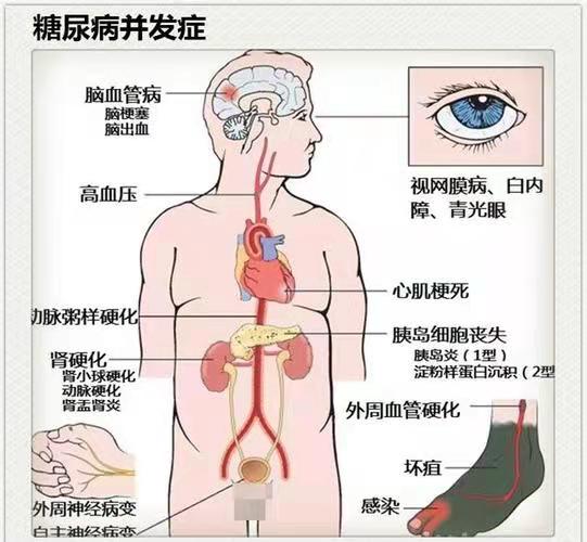 C:\Users\ADMINI~1\AppData\Local\Temp\WeChat Files\de70891a68aed26f1a14d2d6df08888.jpg